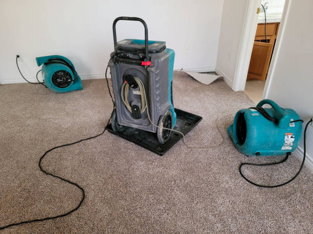 Best 24/7 water damage repair  in Aberdeen Proving Ground, MD