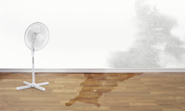 Carpet water damage restoration in MD