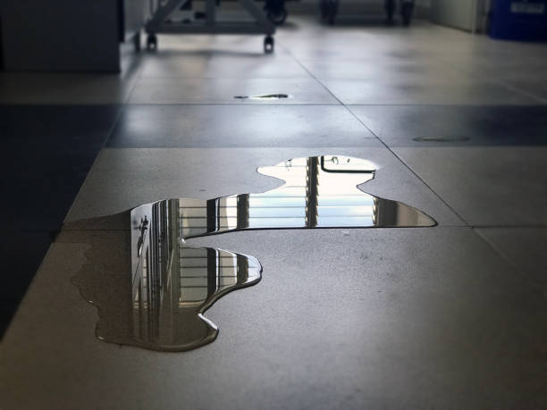 Best Water damage restoration near me  in Aberdeen Proving Ground, MD
