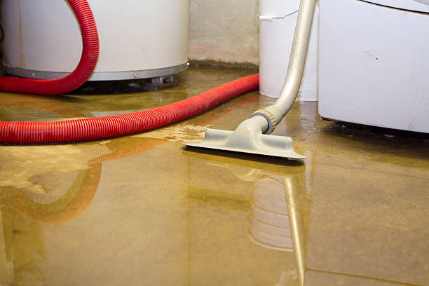  Aberdeen Proving Ground, MD Water damage restoration Pros