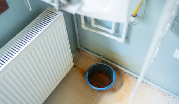 Best Professional water damage repair  in Aberdeen Proving Ground, MD