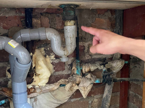 Best Water damage restoration company  in Aberdeen Proving Ground, MD