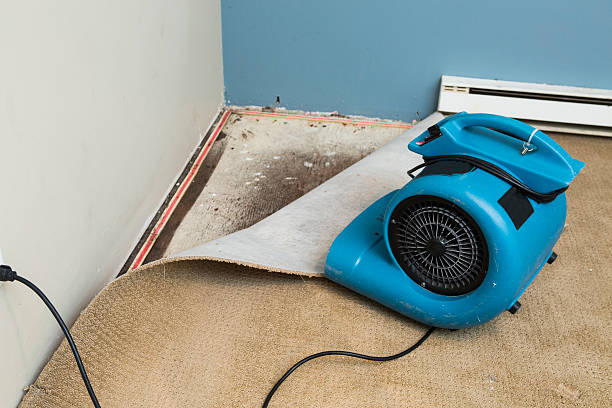 Best Basement water damage restoration  in Aberdeen Proving Ground, MD
